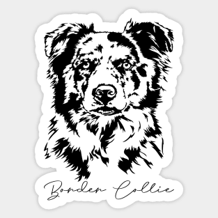 Merle Border Collie dog Portrait Sticker